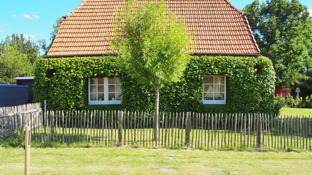 Butjadingen House | Vacation home directly on the dike with garden sauna and garden