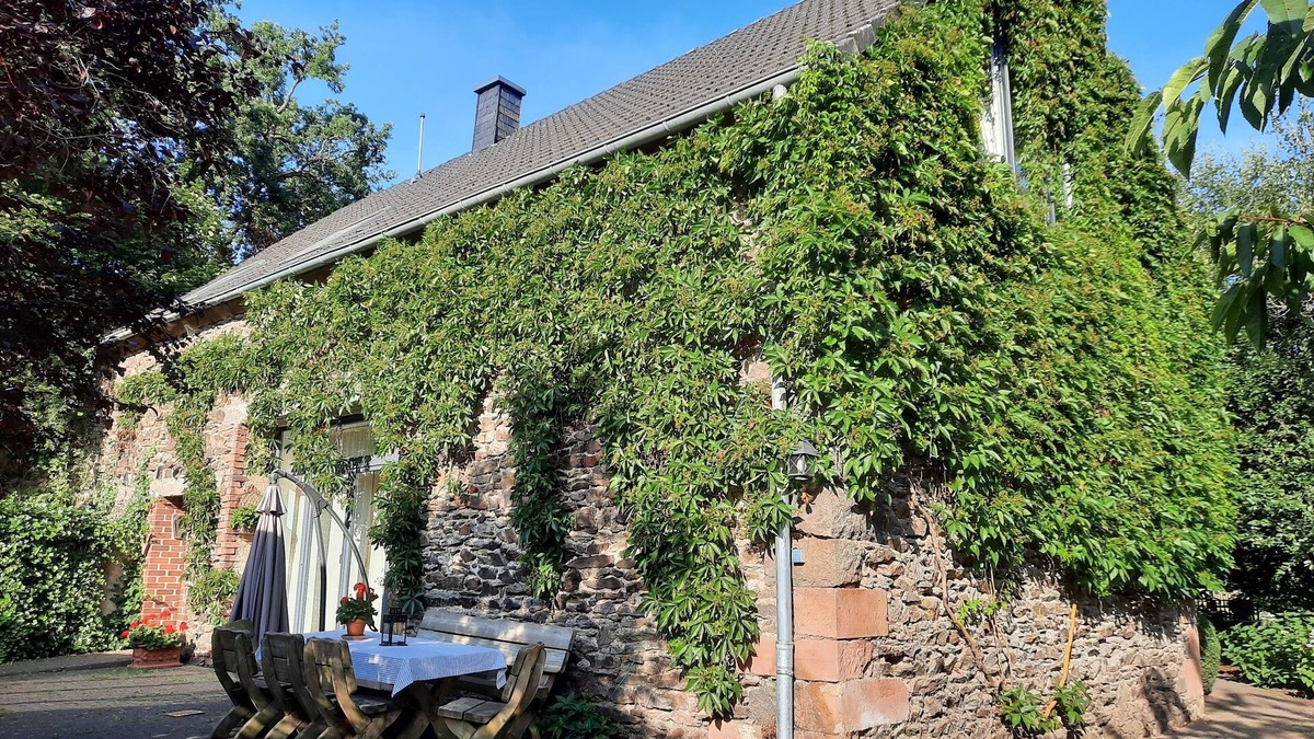 Wallscheid House | Vacation home for 10 guests with 180m² in Wallscheid (179331)
