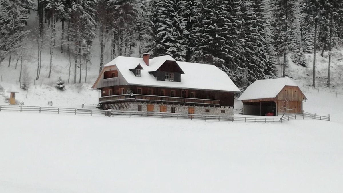 Bad Sankt Leonhard im Lavanttal House | Vacation home for 12 guests with 120m² in Kliening (273685)