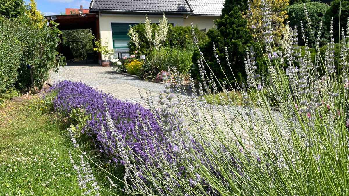 Bautzen House | Vacation home for 4 guests with 75m² in Bautzen (167901)