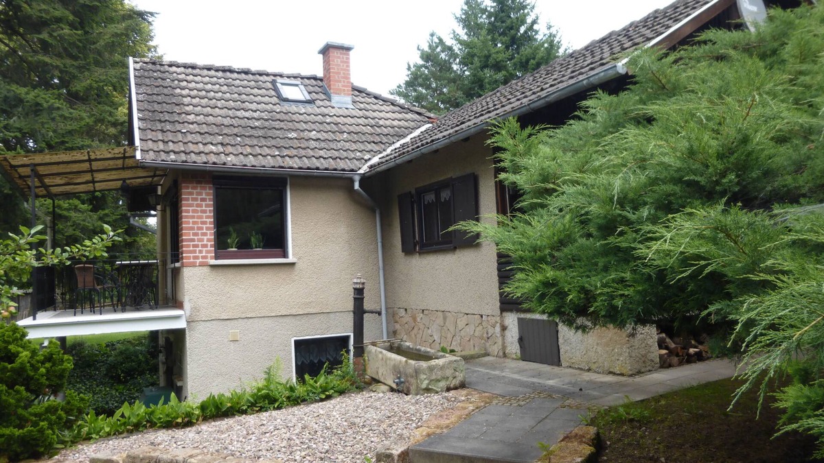 Bad Salzungen House | Vacation home for 4 guests with 60m² in Bad Salzungen (149488)