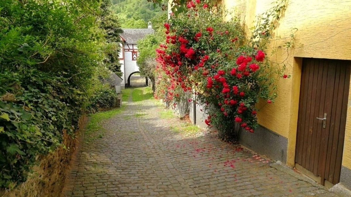 Enkirch House | Vacation home Gisela on the Moselle