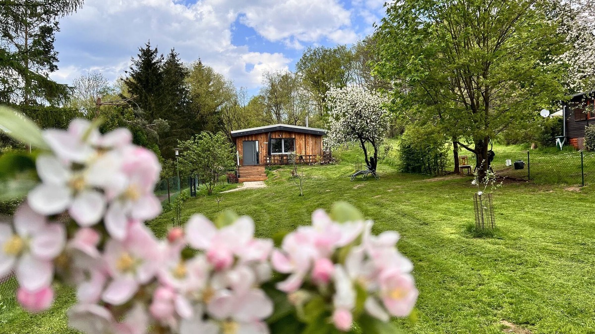 Neustadt/Harz House | Vacation home II Zittertal Neustadt Harz with large fenced garden