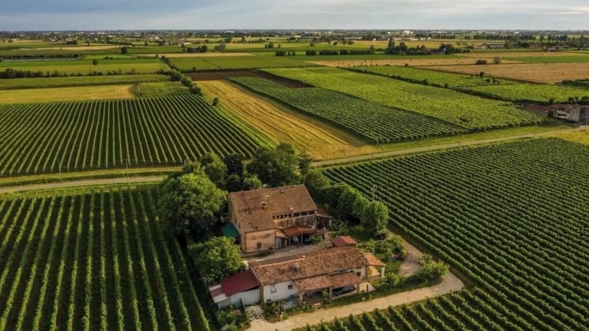 Lonigo House | Vacation home La Vigna with Pool