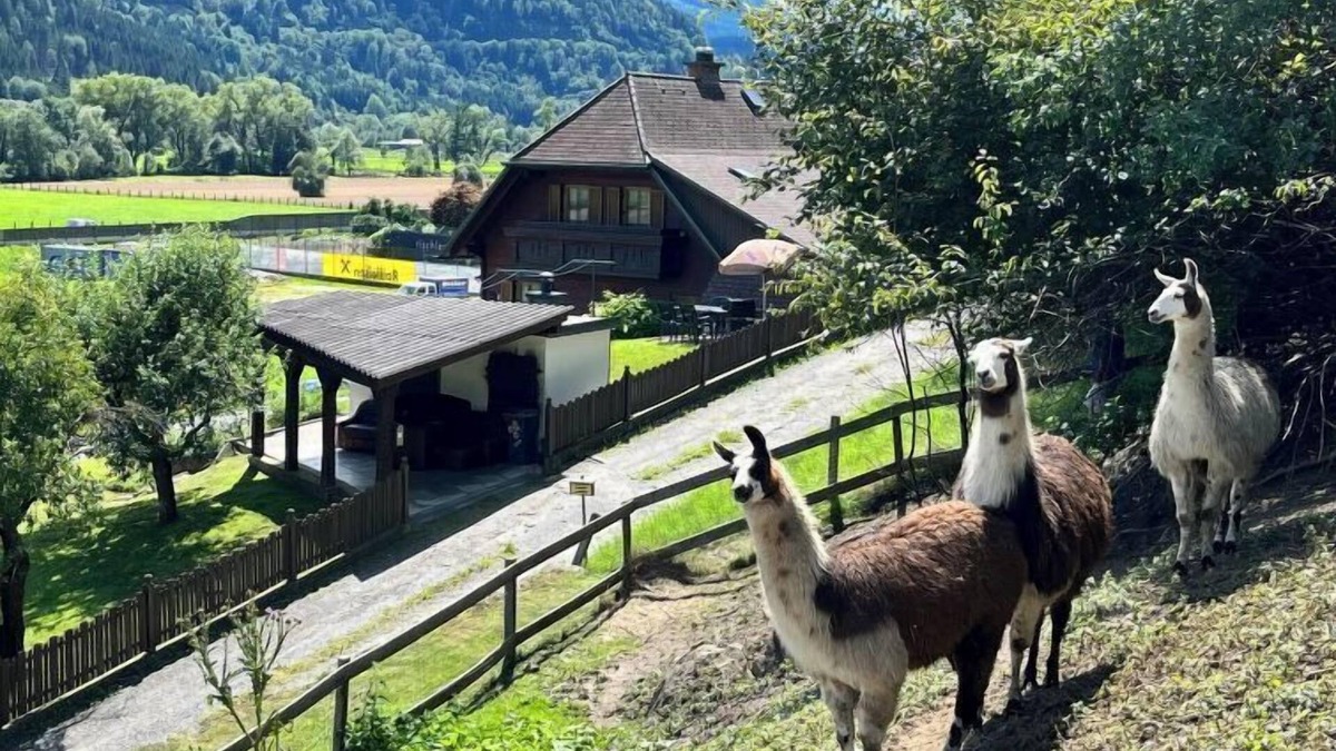 Niederwolz House | Vacation home Lama by Interhome