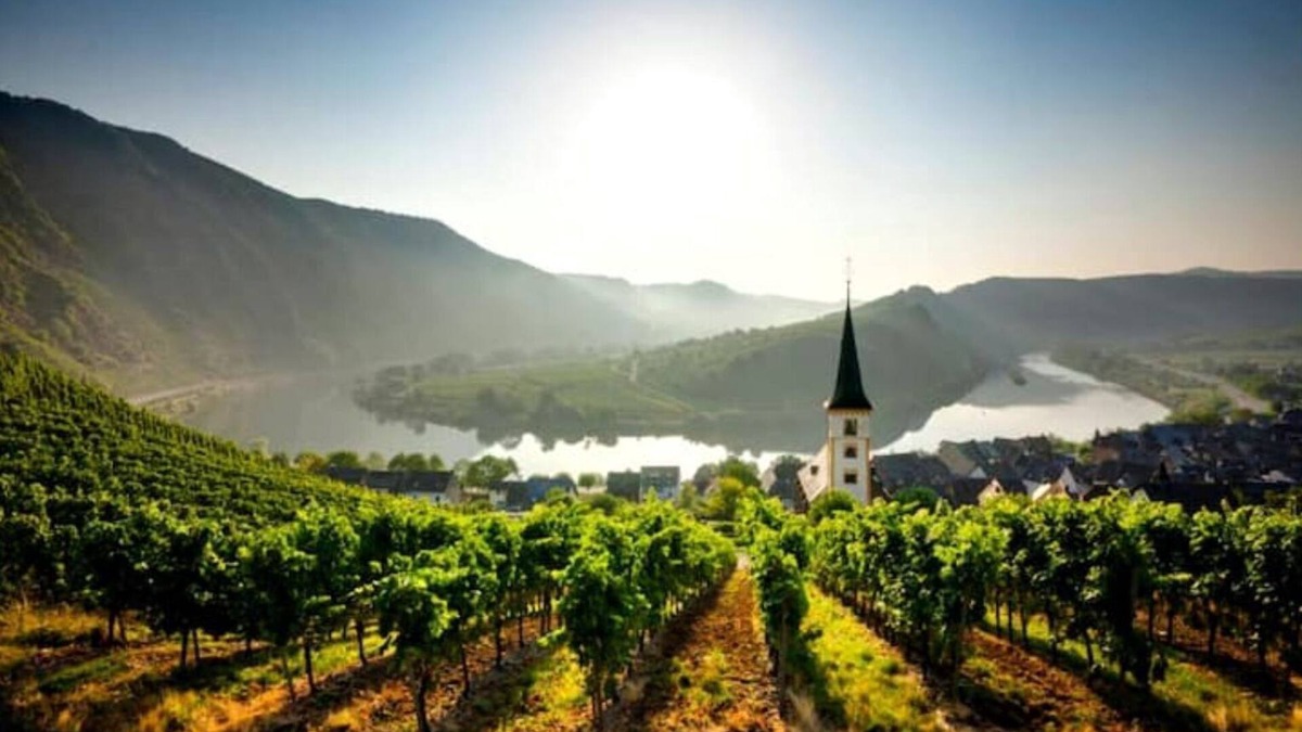 Klotten Apartment | Vacation home Moselzeit in Klotten near Cochem