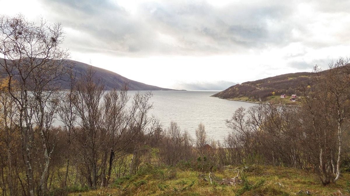 Korsfjorden House | Vacation home on a hill with beautiful views of the sea and the mountains.