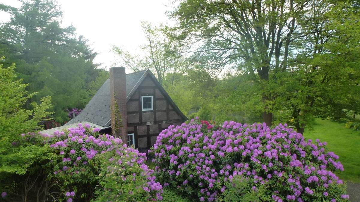 Westerstede Cottage | Vacation home on large, fenced property, bathing lake, secluded location