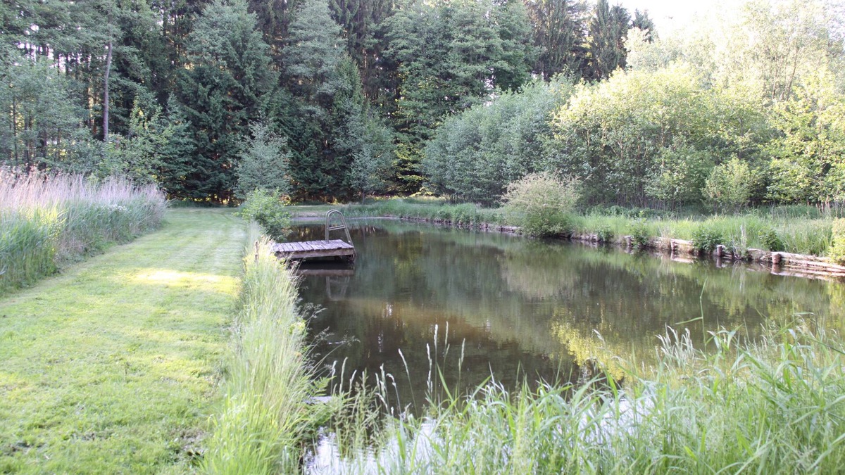 Bomlitz House | Vacation in the heath! Recreation and adventure for children and adults