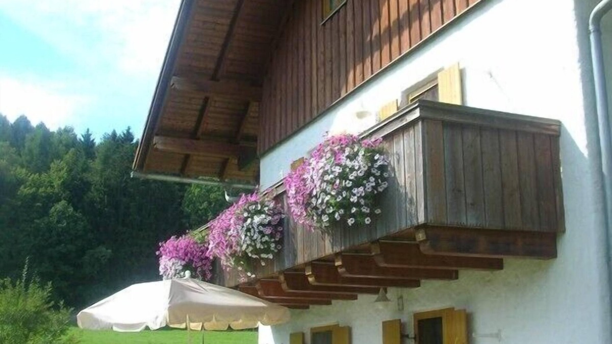 Pilgramsberg Apartment | Vacation on a bio-farm with a dog - quiet and relaxation in the Bavarian Forest