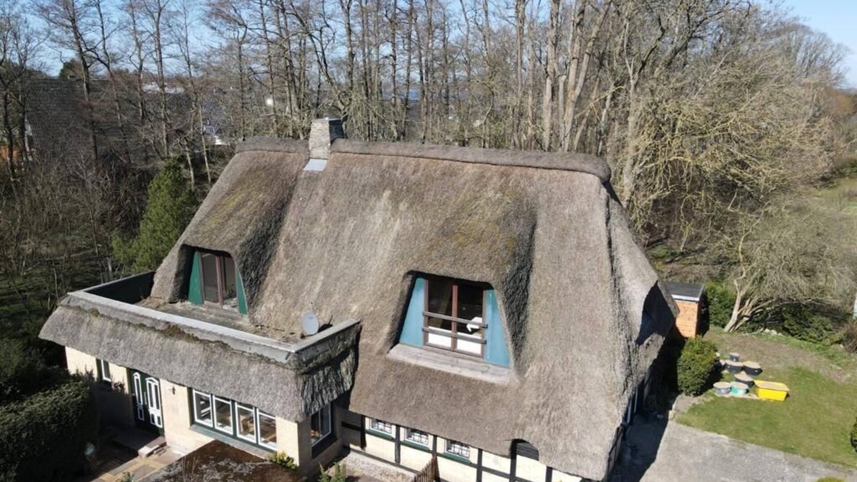 Borgwedel House | Vacation on the Schlei in an idyllic reed roof house