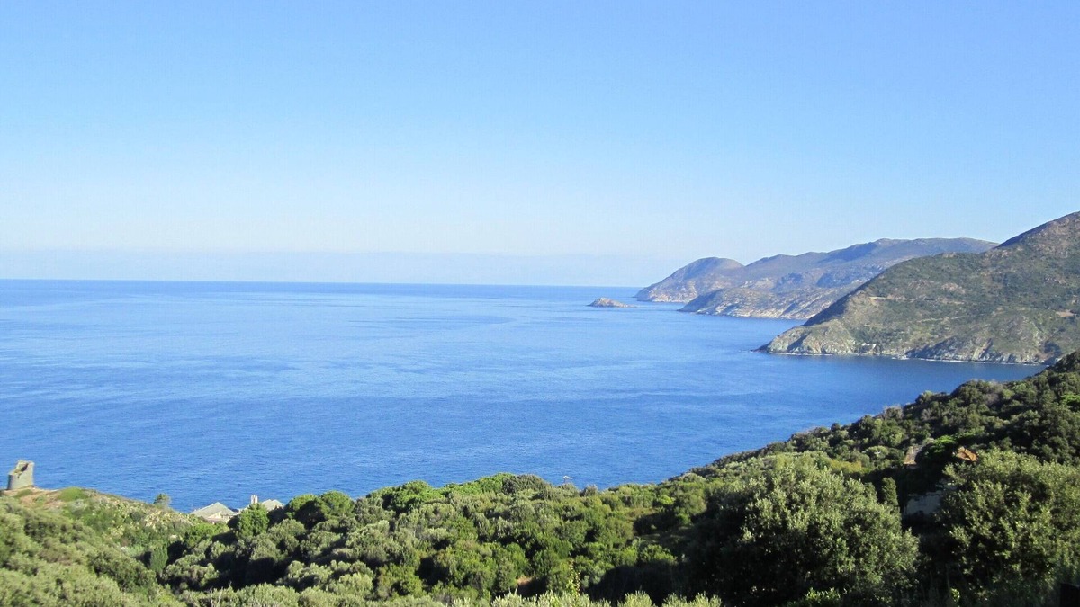 Pino Apartment | VACATION RENTAL APARTMENT PINO CAP CORSE FOR 5 PEOPLE