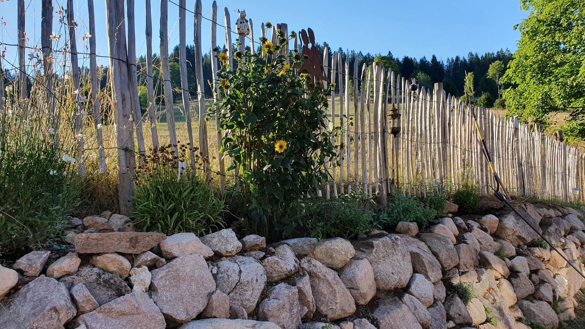 Blasiwald Apartment | Vacation with dog away from the forest near Schluchsee
