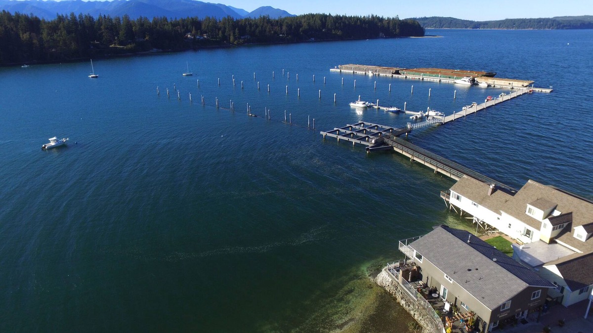 Seabeck Apartment | Vacation @ WATER'S EDGE Bayside Rental on Seabeck on the Hood Canal-Seabeck,WA