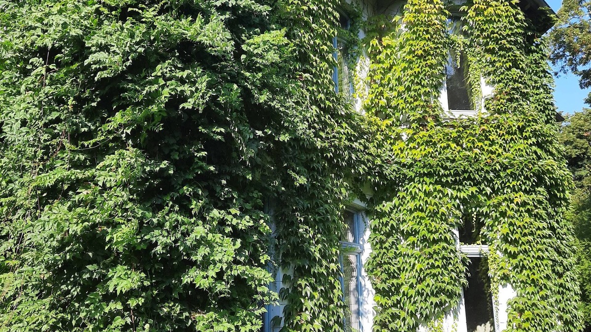 Altkalen Apartment | Vacations at the Gutshof Alt-Pannekow (with spa area)-Dogs welcome (max. 4P)