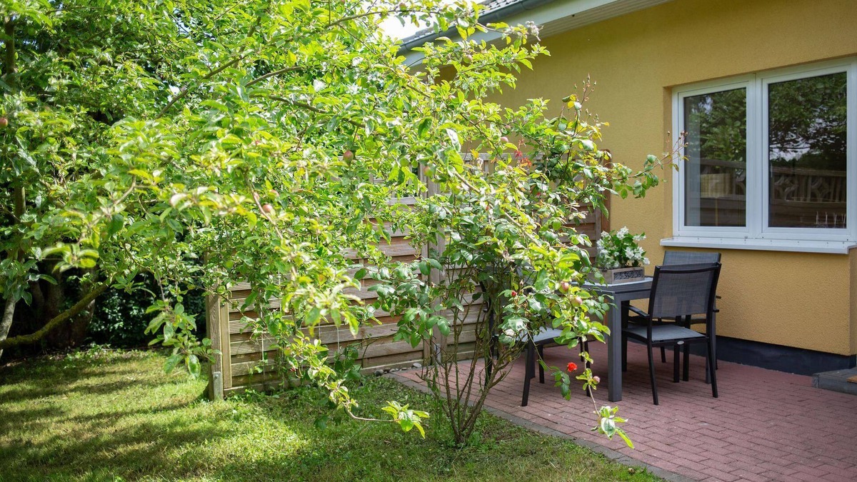 Puttgarden Apartment | Vacations in Fehmarn: Relax and experience in the Apfelblüte vacation apartment