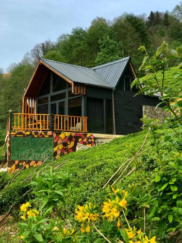 Ayder Resort | VAESS Villa Dağ Evleri