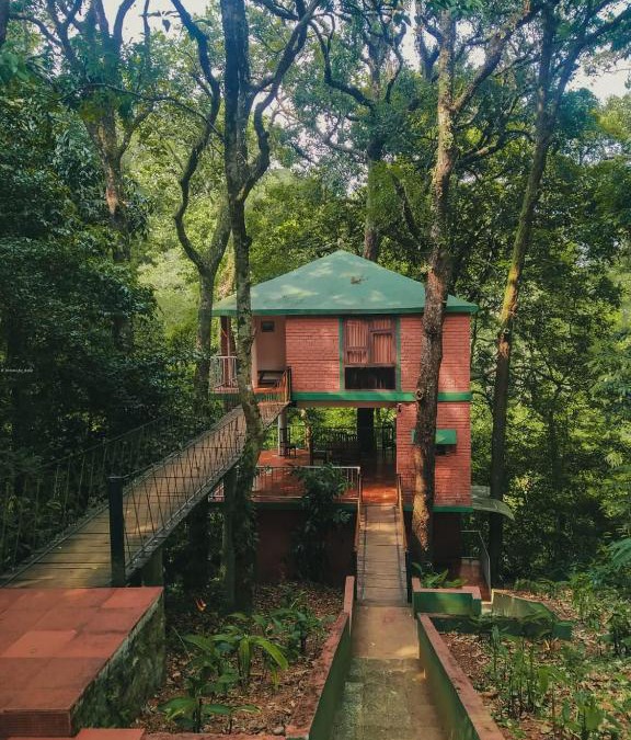 Vagamon Resort | Vagamon Heights