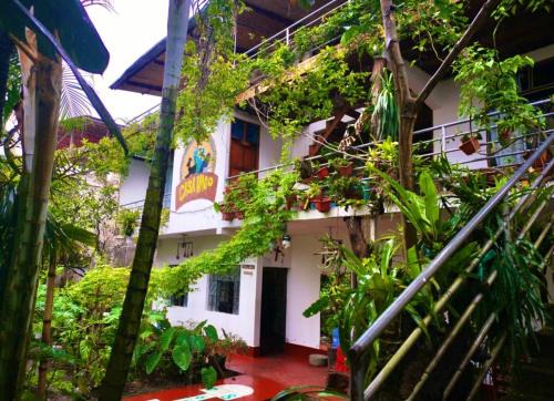 Tingo Maria House | VAGO HOSTEL