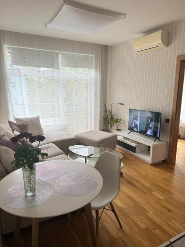 Vidzeme Suburb Apartment | Vaidava’s Apartment