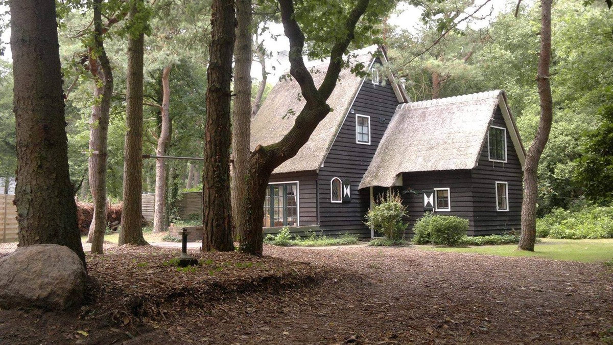 Norg House | Vakantiehuis in de Bossen van Norg