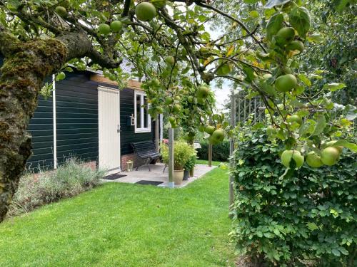 Usquert House | Vakantiehuisje De Waddenuil