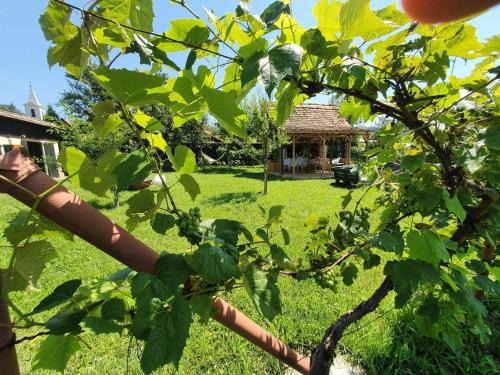Sarosu pe Tarnave House | Valchid Guest House
