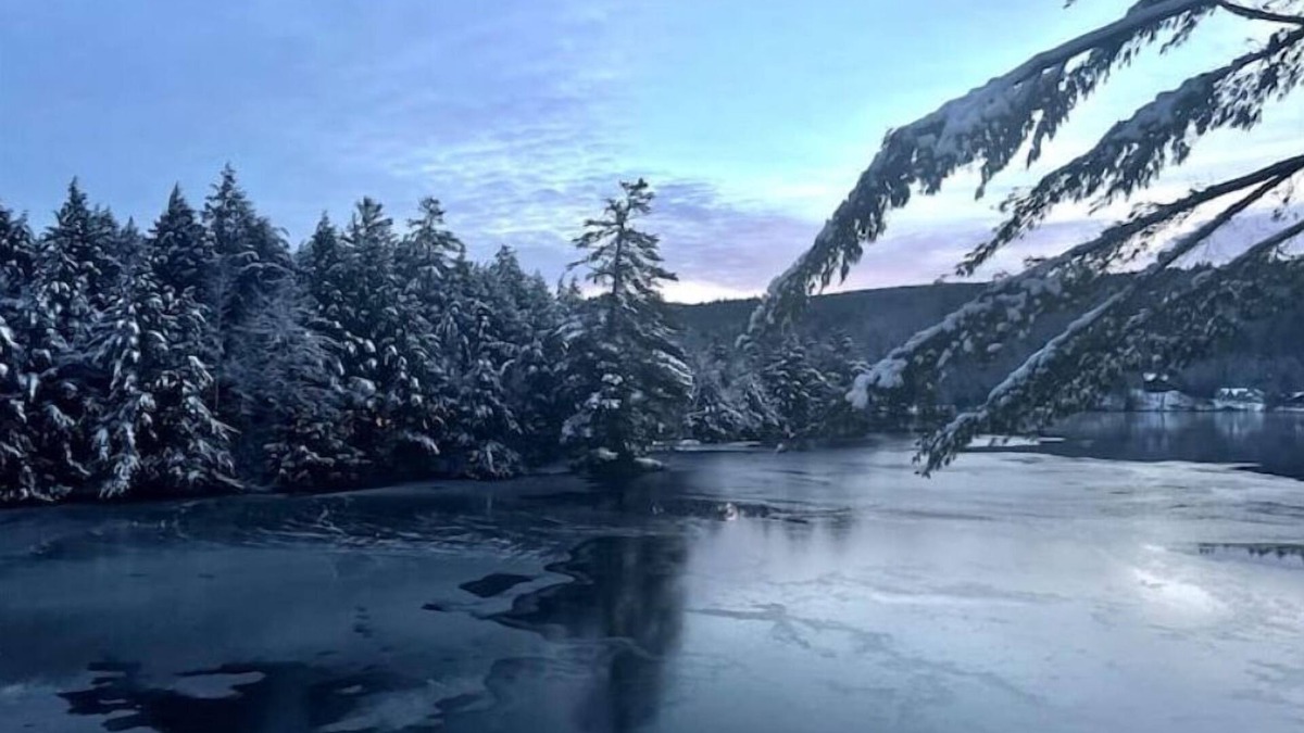 Ludlow House | Valhalla!