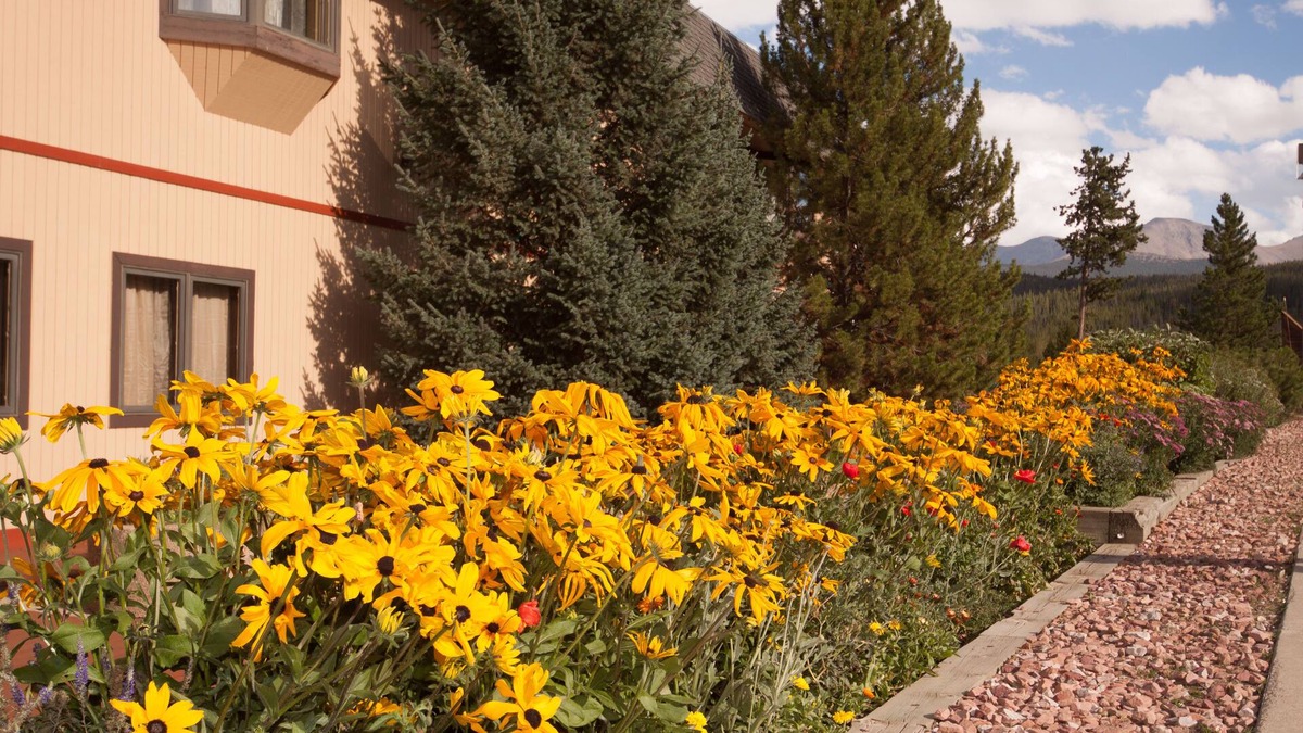 Winter Park Hotel | Valley Hi Motel - Near Winter Park Visitor Center