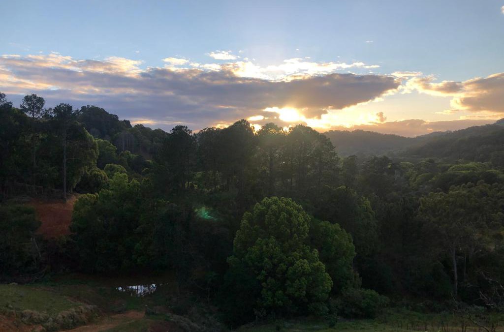 Currumbin Valley House | Valley Retreat
