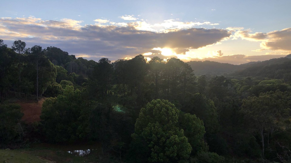 Currumbin Valley House | Valley Retreat