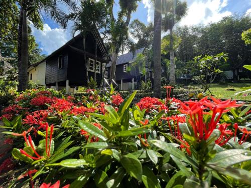 Bai Lan Resort | Vanara Bungalows