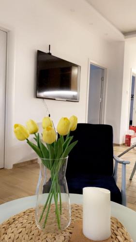 Vrsac Apartment | Vanja Apartman