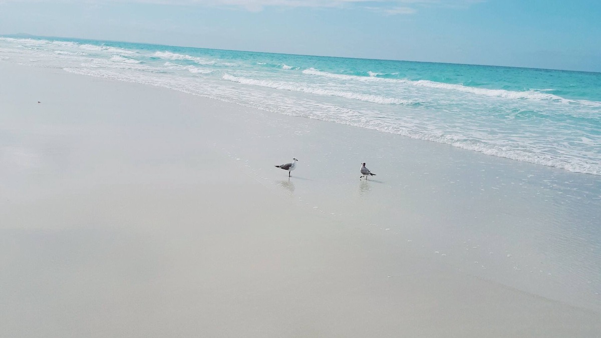 Varadero Bed & Breakfast | Varadero D'Amelia