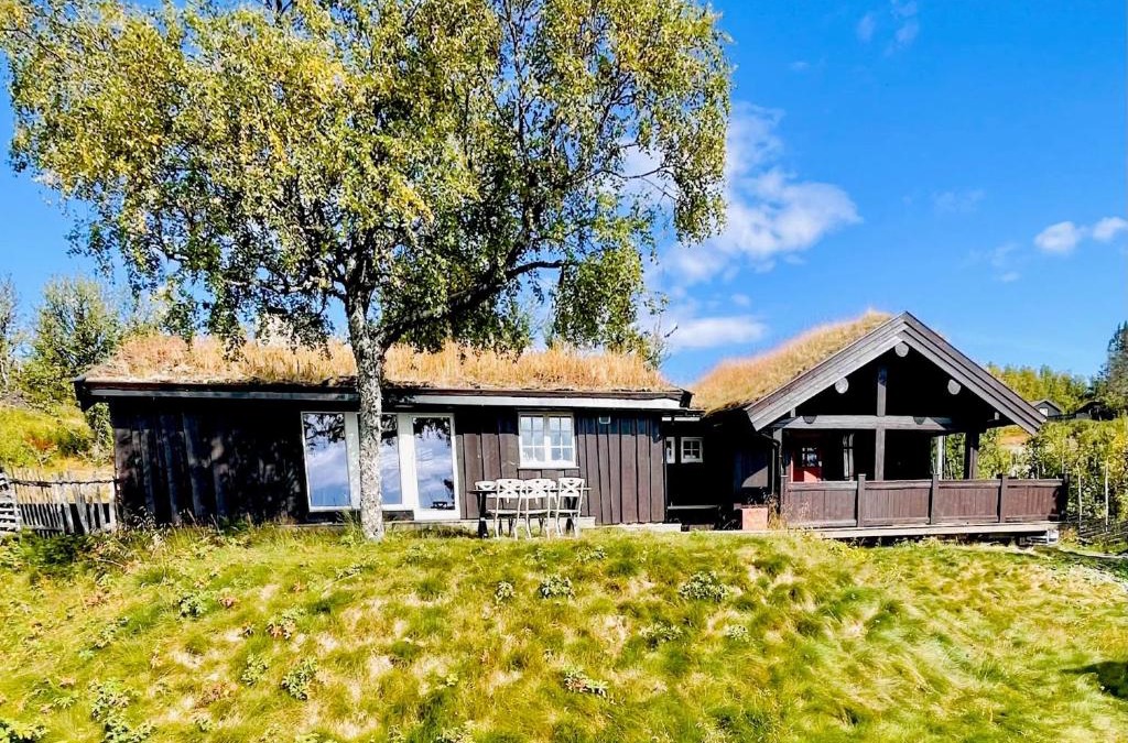Vestre Slidre Ski Chalet | Vasethytta - cabin with a lovely view