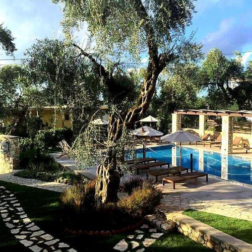 Anthousa House | Vassilis Guest House