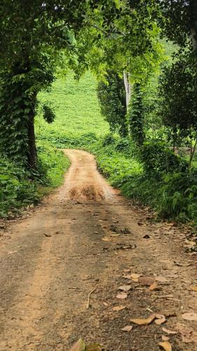 Talipparamba House | Vasudha Eco Homestay