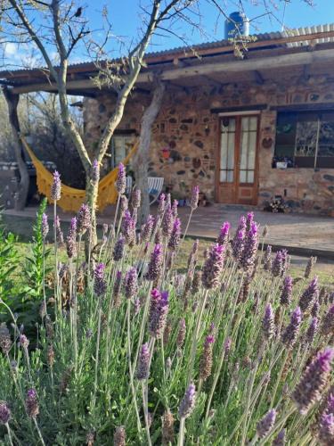 San Javier House | Vayu- en La Casa de Nanda