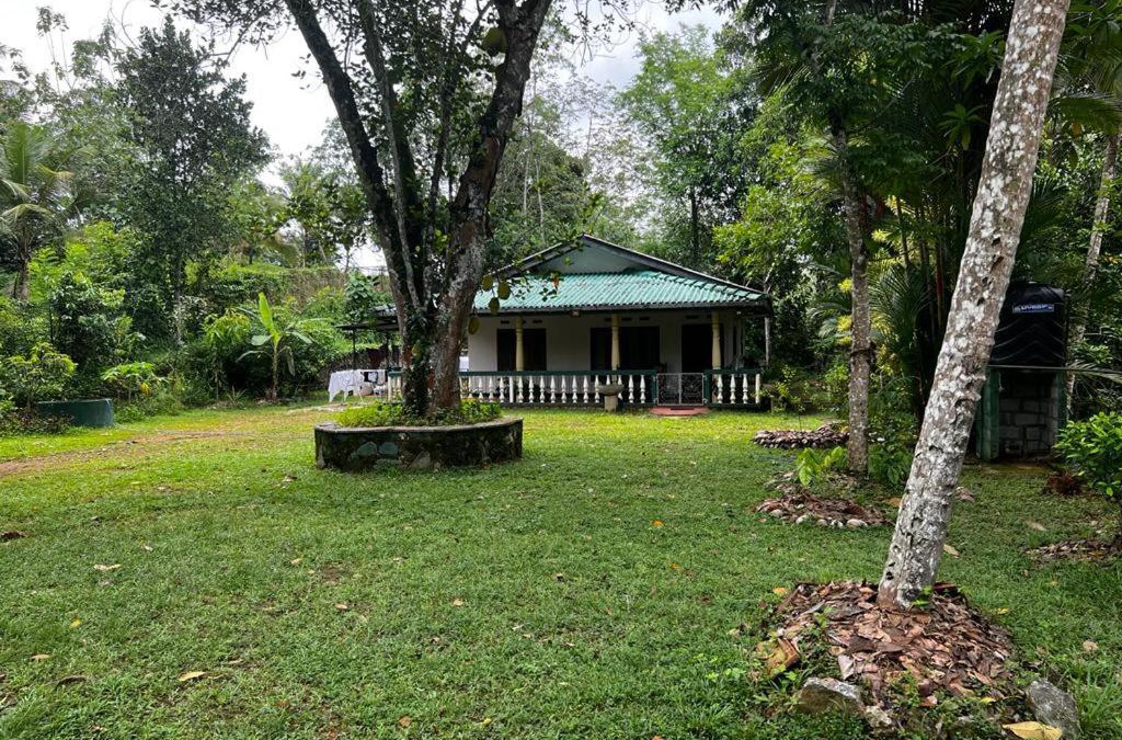 Kirantidiya House | Vegan Nature Resort