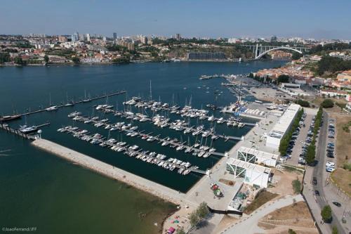 Porto Boat Rental | Veleiro D'Ouro