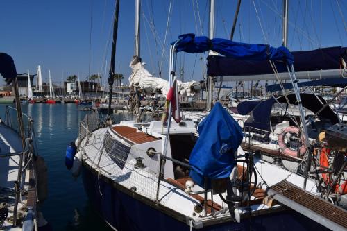 Poblats Maritims Boat Rental | Velero en Puerto de Valencia - E&M Boats