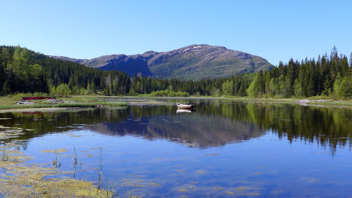 Brønnøy Cabin | Velfjord camping & hytter