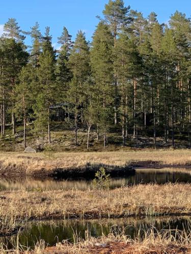 Kongsvinger House | Velkommen til Finnskogen og minihytta Rimbila