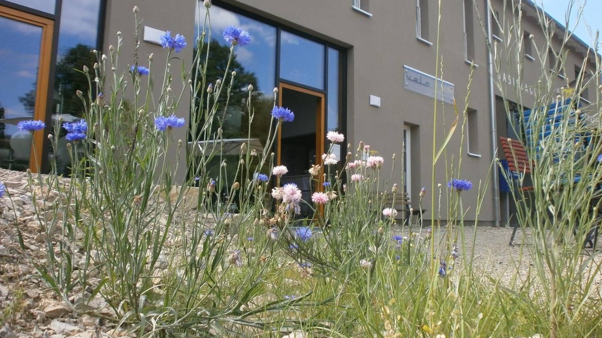 Bad Berka House | velo inn - Basislager Bad Berka