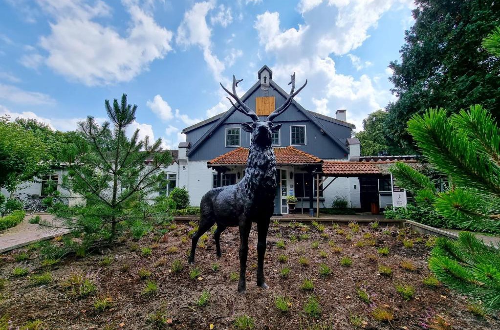 Hulshorst Hotel | Veluwe Hotel De Beyaerd