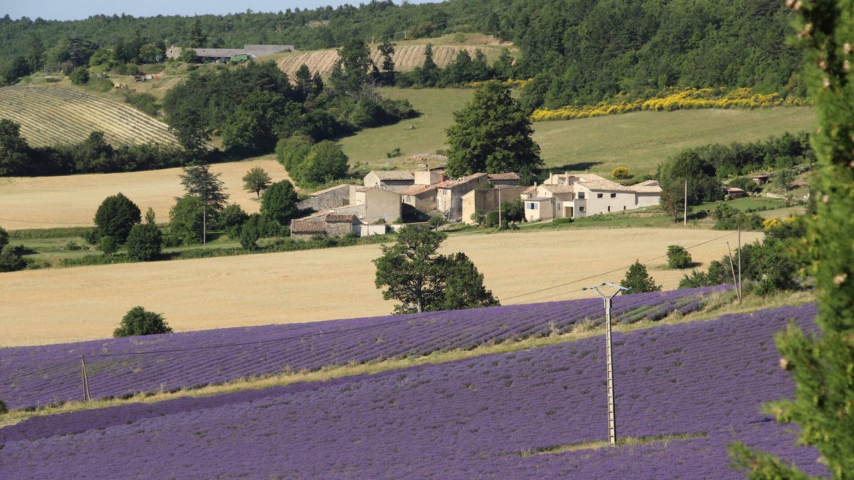 Sault House | Ventoux Lavandes Velos *