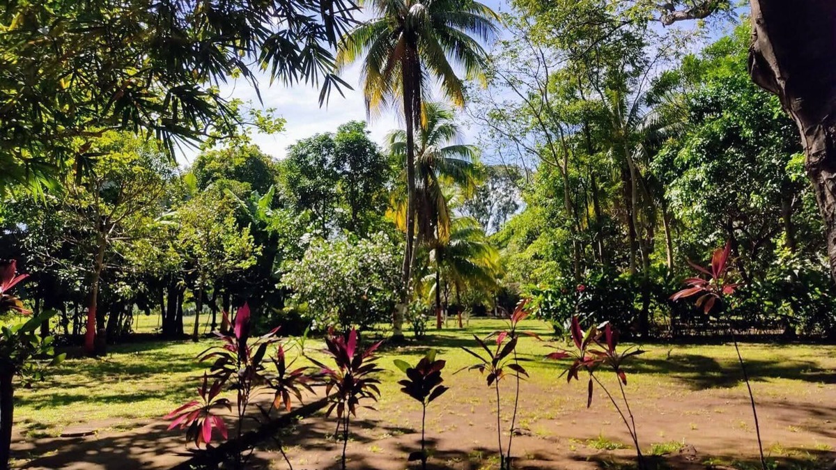 Diriomo House | Verdant's haven. Fully equipped modern villanAC, opt.fiber, amazing surroundings