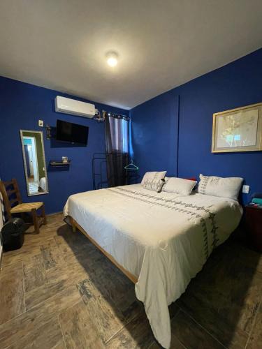 Xilitla Bed & Breakfast | verde amanecer