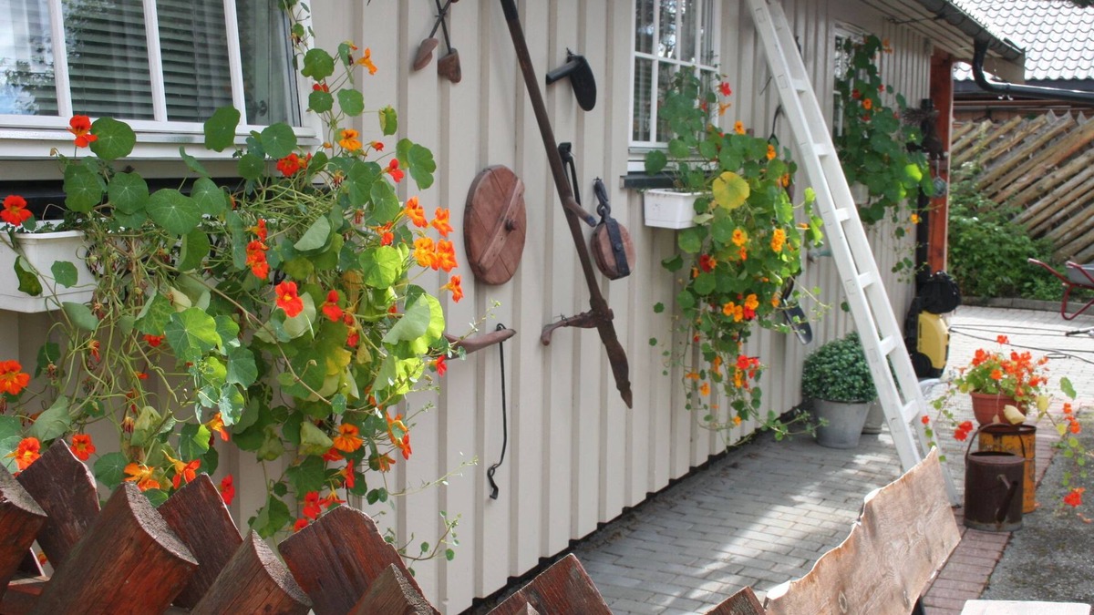 Fannrem House | Vertshuset Fannarheimr