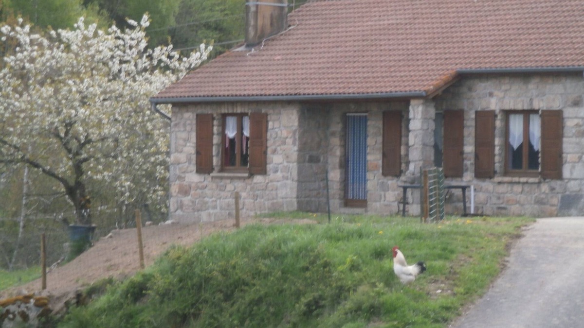 Chanaleilles House | Very beautiful country granite house